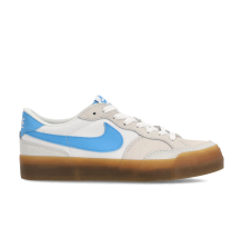 Nike Pogo Zoom Plus SB (DR9114-100)