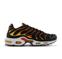Nike Air Max Plus Reverse Sunset (DC6094-001)