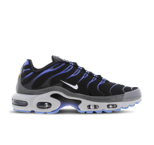 Nike Air Max Plus Royal Grey (DH4776-003)