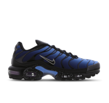 Nike Air Max Plus (DV3493-001)