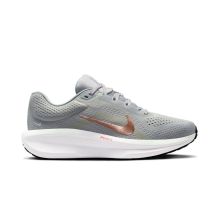 Nike Winflo 11 (FJ9510-004) in grau