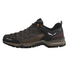 Salewa Mountain Trainer Lite GORE TEX GTX (61361-7512)