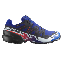 Salomon Speedcross 6 GTX Equipe (L47982800)
