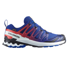 Salomon XA PRO 3D V9 GTX Equipe (L47982600)