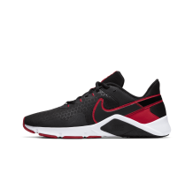 Nike Legend Essential 2 (CQ9356-005)