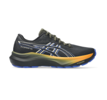 Asics GT 2000 14 GTX (1011C058.001)