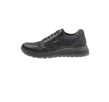 Ara ARIZONA (11-37801-11)