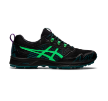 Asics Gel Fujisetsu 3 GTx (1011A972.002)