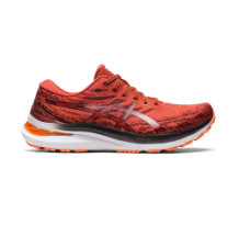 Asics Gel Kayano 29 (1011B440.600)