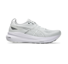 Asics GEL KAYANO 31 (1011B867.101)