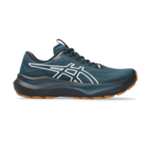 Asics GT 2000 14 TR (1011C129-300)