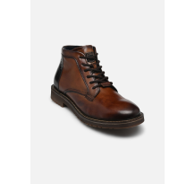 Bugatti Cliff (331-AO930-1010-6361)