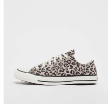 Converse Chuck Taylor All Star (A15814C)