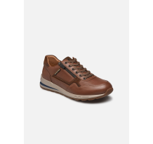 Mephisto Bradley (P5135026)