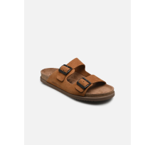 Mephisto Nerio (P5142060)