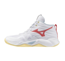 Mizuno Wave Momentum Pro mid w (V1GC2545 35)
