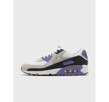 Nike Air Max 90 Dusty Amethyst Smoke Grey (DM0029-114)
