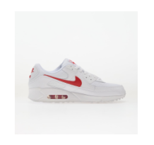 Nike Air Max 90 (DM0029-120)