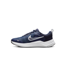 Nike Downshifter 12 GS (DM4194-400)