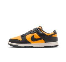 Nike Dunk Low RETRO (HF5441-700)