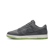 Nike Dunk Low Retro (DQ7681 001)