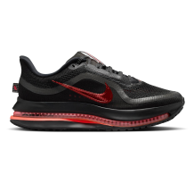 Nike Pegasus Premium (HQ2593-010)