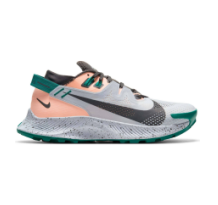 Nike Pegasus Trail 2 (CK4309-004)