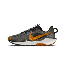 Nike Pegasus Trail 5 (DV3864-009)