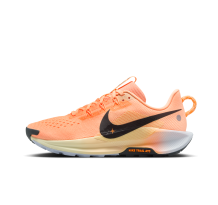Nike Pegasus Trail 5 (DV3865-800)