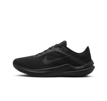 Nike Winflo 10 (DV4022-001) in schwarz