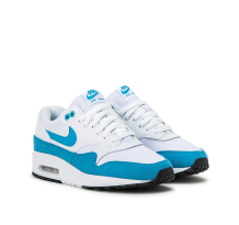 Nike Wmns Air Max 1 (319986-117)