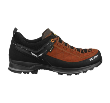 Salewa MTN Trainer GTX 2 (61356-0933) in schwarz