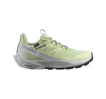 Salomon Elixir Activ Gore TEX GTX (L47456300)