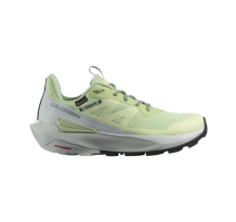 Salomon Elixir Activ GORE TEX GTX (L47456300)