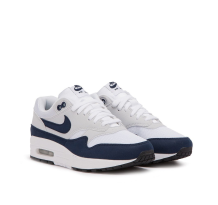 Nike Wmns Air Max 1 (319986-104)