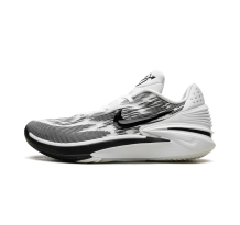 Nike Air Zoom GT Cut 2 TB (FJ8915 100)
