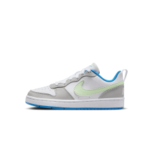 Nike Court Borough Low Recraft (DV5456-005) in grau