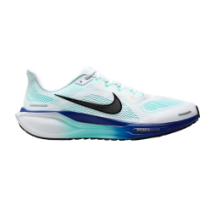 Nike Pegasus 41 (FD2722-118)