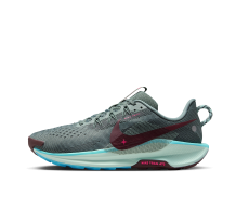 Nike Pegasus Trail 5 (DV3864-302)