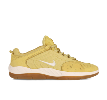 Nike Vertebrae Iso (HJ4301-700)