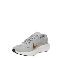 Nike Winflo 11 (FJ9510-004)