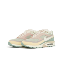 Nike Air Max BW (DM9094-100)