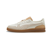 PUMA Indoor Special (401362-01)