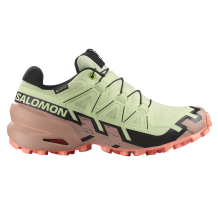 Salomon Speedcross 6 GTX Tex Gore (L47765500)