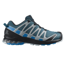 Salomon XA PRO 3D v8 GTX (L41629200)