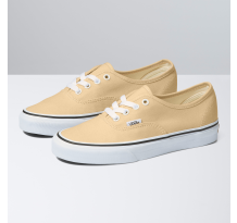 Vans Authentic Theory Color (VN0A5KS9BLP) in braun