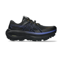 Asics Fujisetsu Max GTX (1011C115-001)