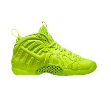 Nike Air Foamposite Pro Premium LE BG (644792 700)