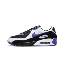 Nike Air Max 90 Persian Violet (DB0625-001)