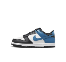 Nike Dunk Low (DH9765-104) in weiss